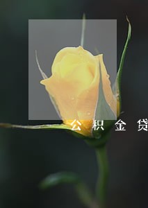 公积金贷款逾期4天咋办 公积金贷款逾期4天咋办