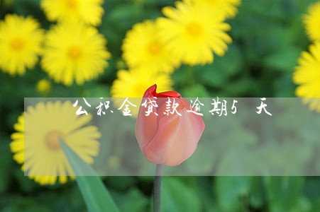 公积金贷款逾期5天 公积金贷款逾期5天