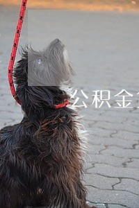 公积金贷款逾期7天怎么办 公积金贷款逾期7天怎么办