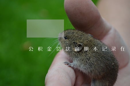 公积金贷款逾期不记录在征信 公积金贷款逾期不记录在征信
