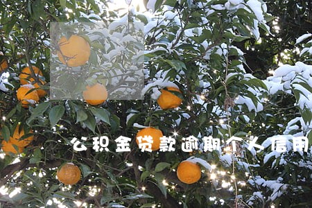 公积金贷款逾期个人信用 公积金贷款逾期个人信用