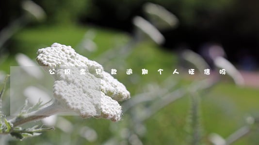公积金贷款逾期个人征信吗 公积金贷款逾期个人征信吗