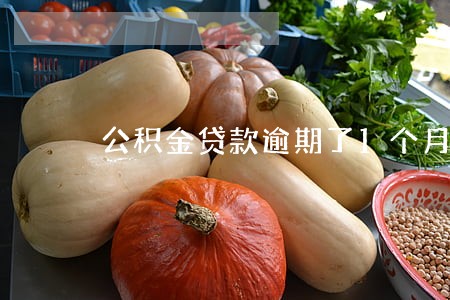 公积金贷款逾期了1个月 公积金贷款逾期了1个月