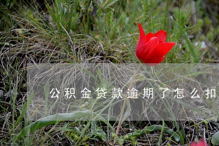 公积金贷款逾期了怎么扣款 公积金贷款逾期了怎么扣款