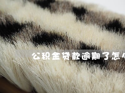 公积金贷款逾期了怎么还款