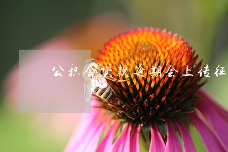 公积金贷款逾期会上传征信吗 公积金贷款逾期会上传征信吗