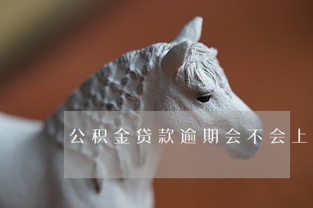 公积金贷款逾期会不会上征信 公积金贷款逾期会不会上征信