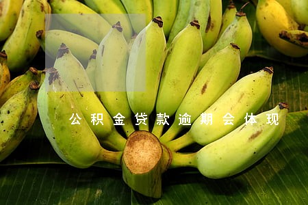 公积金贷款逾期会体现 公积金贷款逾期会体现