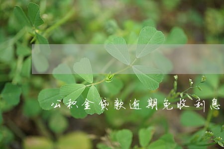公积金贷款逾期免收利息 公积金贷款逾期免收利息