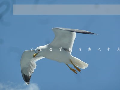 公积金贷款逾期八个月