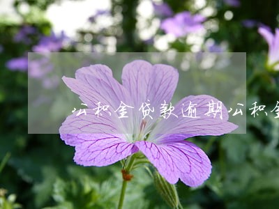 公积金贷款逾期公积金冻结 公积金贷款逾期公积金冻结