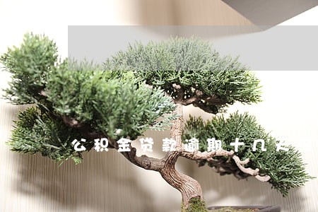 公积金贷款逾期十几天没交 公积金贷款逾期十几天没交