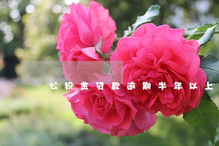 公积金贷款逾期半年以上 公积金贷款逾期半年以上