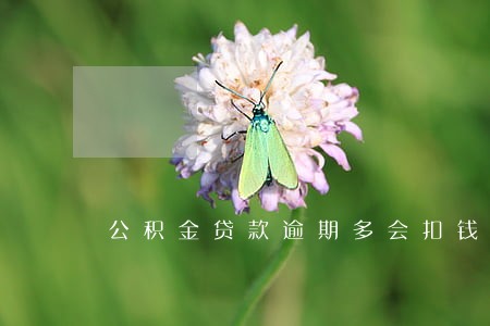 公积金贷款逾期多会扣钱 公积金贷款逾期多会扣钱