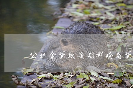公积金贷款逾期影响商贷吗 公积金贷款逾期影响商贷吗