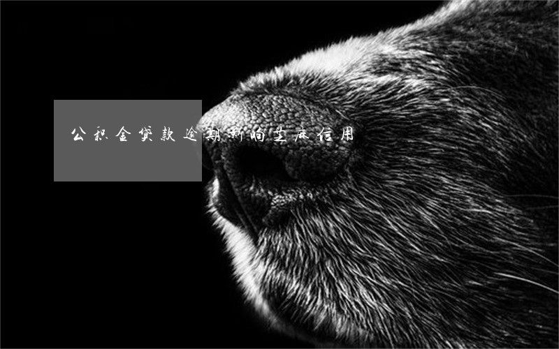 公积金贷款逾期影响芝麻信用