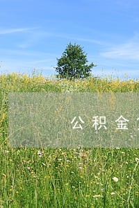公积金贷款逾期征信几年消除
