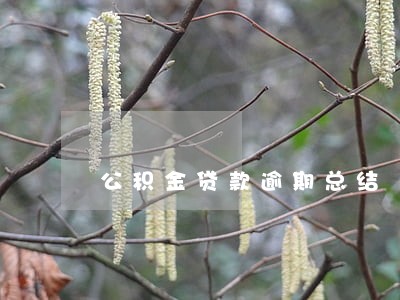 公积金贷款逾期总结 公积金贷款逾期总结