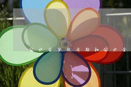 公积金贷款逾期扣公积金账户 公积金贷款逾期扣公积金账户
