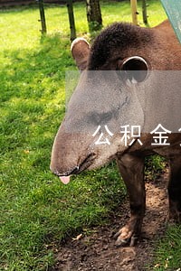 公积金贷款逾期没有罚息 公积金贷款逾期没有罚息