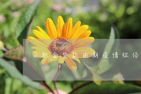 公积金贷款逾期疫情征信 公积金贷款逾期疫情征信