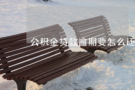 公积金贷款逾期要怎么还 公积金贷款逾期要怎么还