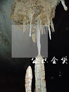 公积金贷款逾期起诉