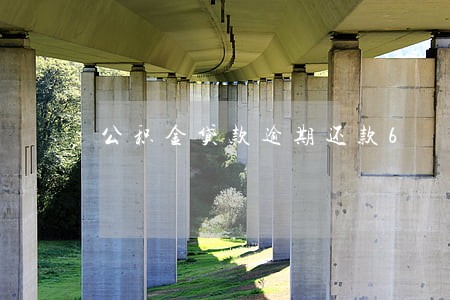 公积金贷款逾期还款6 公积金贷款逾期还款6