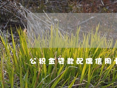 公积金贷款配偶信用卡逾期 公积金贷款配偶信用卡逾期