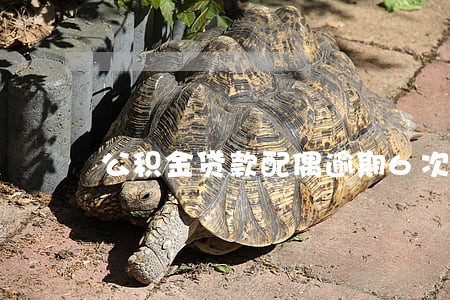 公积金贷款配偶逾期6次 公积金贷款配偶逾期6次