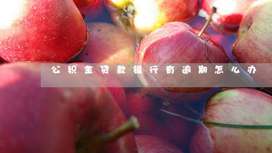 公积金贷款银行有逾期怎么办 公积金贷款银行有逾期怎么办