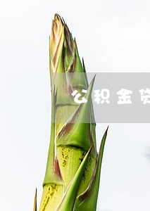 公积金贷款首次逾期 公积金贷款首次逾期