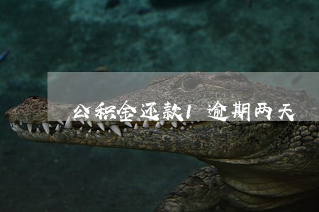 公积金还款1逾期两天 公积金还款1逾期两天