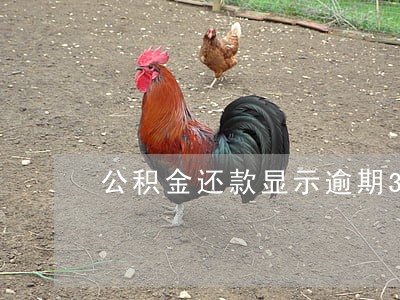 公积金还款显示逾期3次 公积金还款显示逾期3次