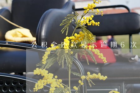 公积金还款显示逾期6次 公积金还款显示逾期6次