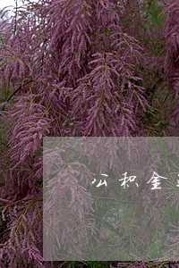 公积金还款逾期1天怎办 公积金还款逾期1天怎办