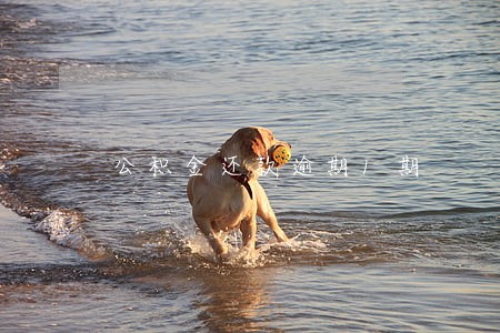 公积金还款逾期1期