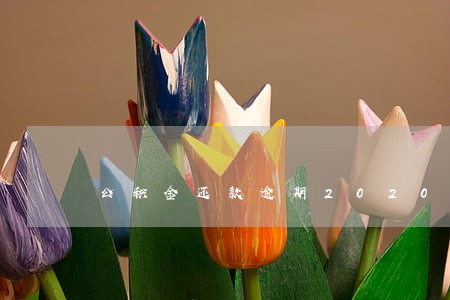 公积金还款逾期2020 公积金还款逾期2020