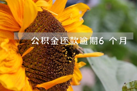 公积金还款逾期6个月 公积金还款逾期6个月