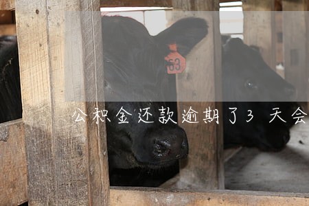 公积金还款逾期了3天会怎样