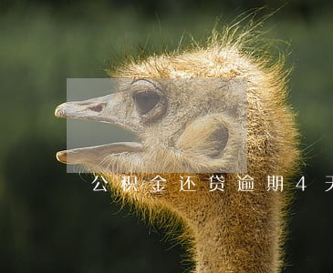 公积金还贷逾期4天会怎样