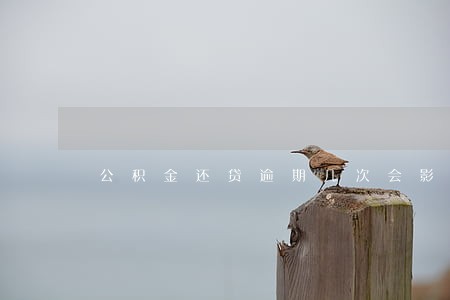 公积金还贷逾期几次会影响信用 公积金还贷逾期几次会影响信用