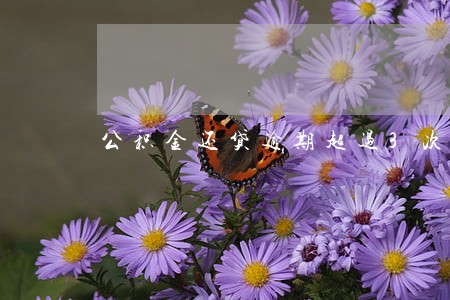 公积金还贷逾期超过3次 公积金还贷逾期超过3次