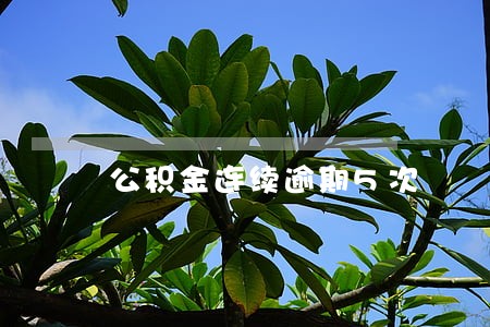 公积金连续逾期5次