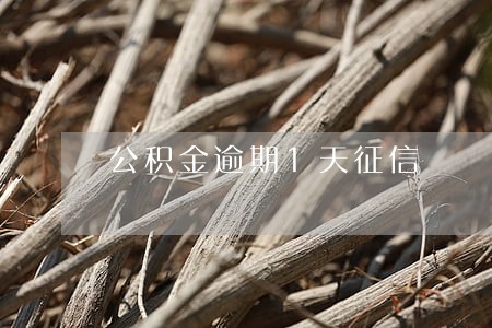 公积金逾期1天征信 公积金逾期1天征信