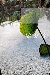 公积金逾期1天费用多少 公积金逾期1天费用多少