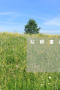 公积金逾期2天会有多少利息 公积金逾期2天会有多少利息