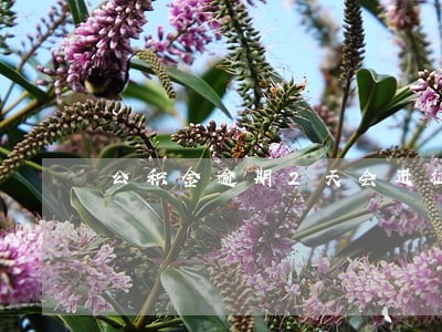 公积金逾期2天会进征信吗