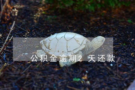 公积金逾期2天还款 公积金逾期2天还款