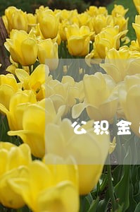 公积金逾期2次影响征信吗 公积金逾期2次影响征信吗